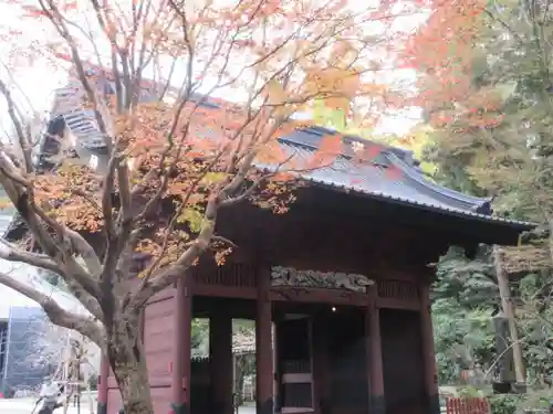 妙本寺の山門・神門