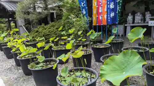 行願寺（革堂）(京都府)