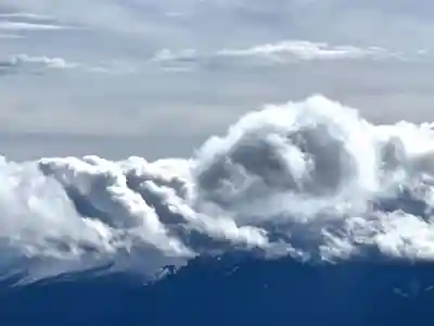 東花童子の景色