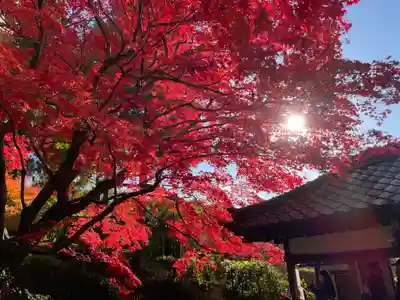 榮攝院（栄摂院）(京都府)