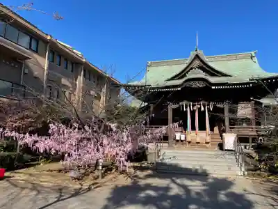 桜神宮の本殿・本堂