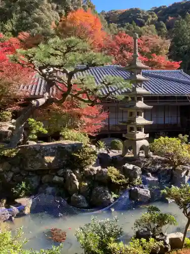 興聖寺（興聖寶林禅寺）(京都府)