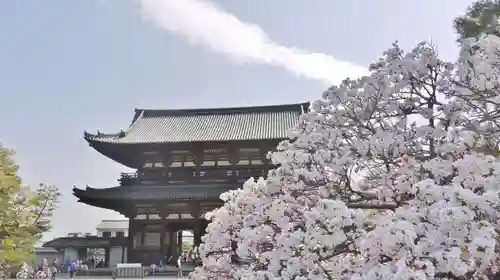 仁和寺の山門