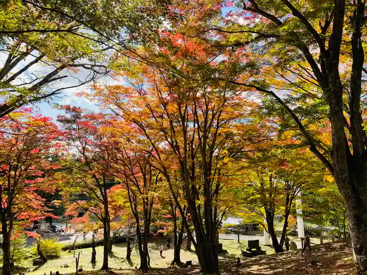 土津神社|こどもと出世の神さまの自然