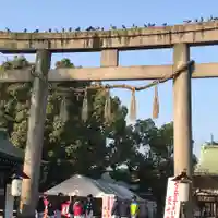 難波大社 生國魂神社の鳥居