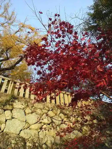 葛城一言主神社の自然