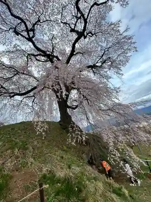 麻績神社(長野県)