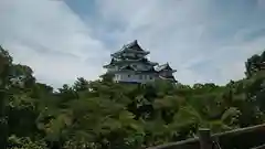 和歌山県護国神社(和歌山県)