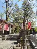 下神明天祖神社の鳥居