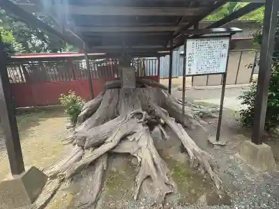 八坂神社(群馬県)