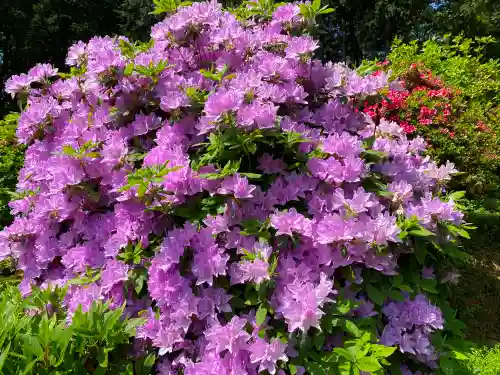 塩船観音寺の自然