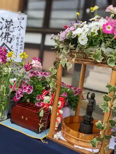 伊勢原 法泉寺の体験その他