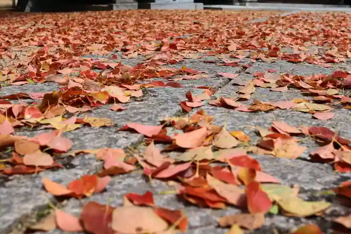三津厳島神社(愛媛県)