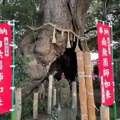 遍照院(神奈川県)