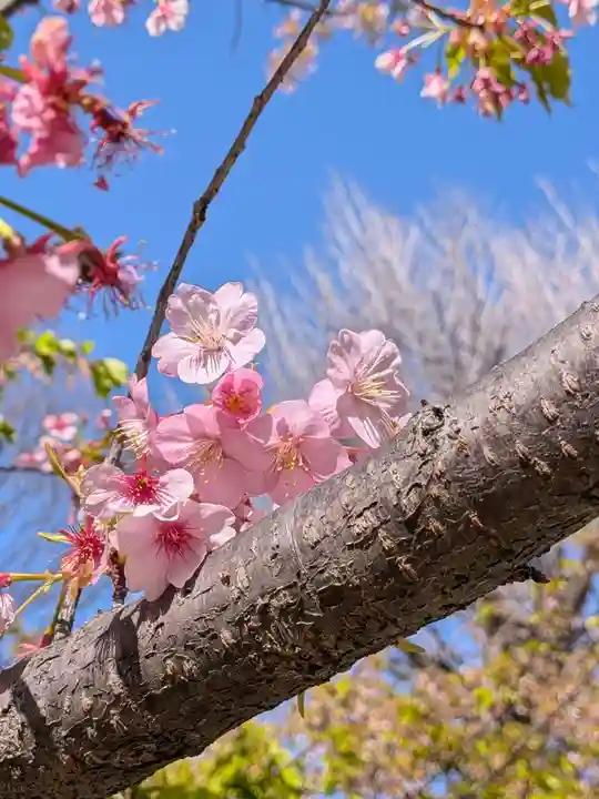 鳩森八幡神社(東京都)