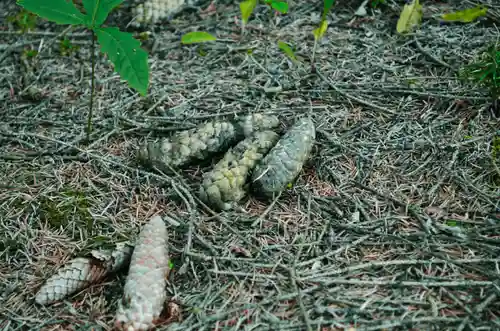 途別神社(北海道)