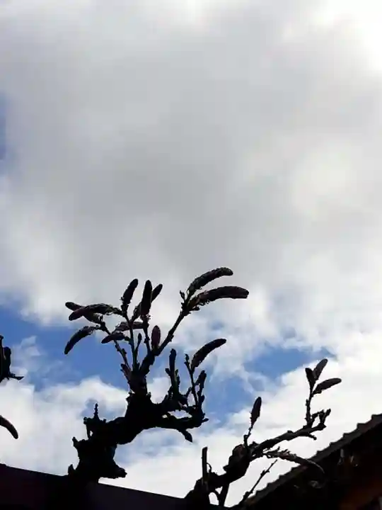 西方山極楽寺(岐阜県)