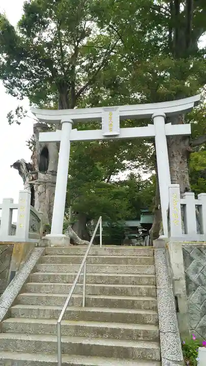 若宮八幡宮の鳥居