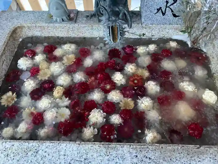 札幌諏訪神社の手水舎