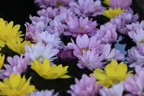 大鏑神社の手水舎