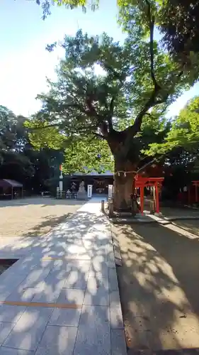 新田神社(東京都)