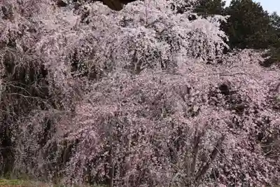 たばこ神社(栃木県)