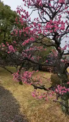  智積院(京都府)