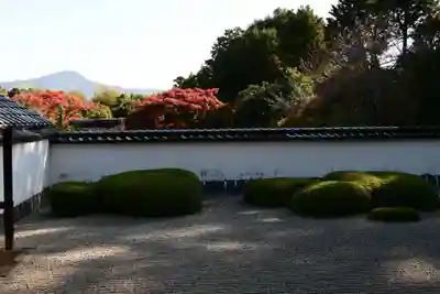 正伝護国禅寺(正伝寺･正傳寺)(京都府)