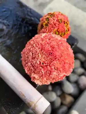 上尾御嶽神社の手水舎