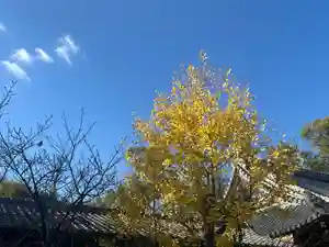 一乗院(和歌山県)(2025年11月28日(金) 16時48分00秒投稿)