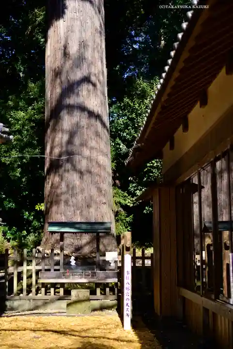 事任八幡宮(静岡県)