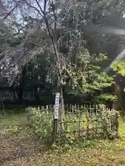 青葉神社(宮城県)