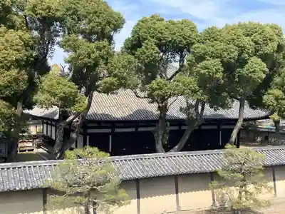 東寺(教王護国寺)(京都府)