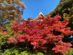 本土寺(千葉県)