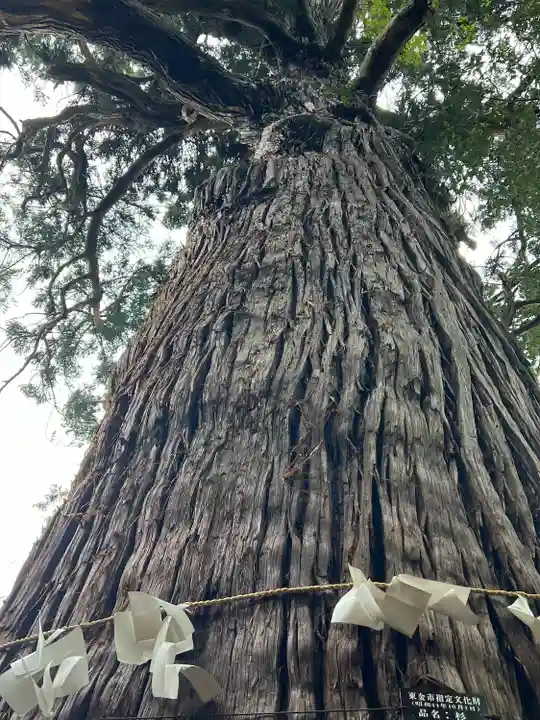 日吉神社(千葉県)