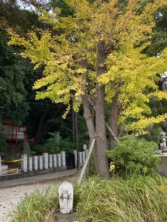 瀧泉寺(目黒不動尊)(東京都)