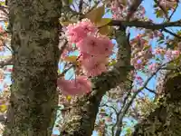 木舟山 順教寺(広島県)