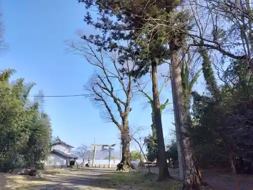 御霊神社(京都府)