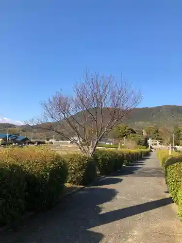 春日神社の建物その他