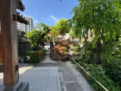 天性寺の{uncategorized: "未分類", other: "その他", undefined: "問題あり", building: "その他建物", grave: "お墓", sacred_gate: "鳥居", guardian: "狛犬", statue: "像", buddha: "仏像", history: "歴史", nature: "自然", garden: "庭園", animal: "動物", pagoda: "塔", temizu: "手水舎", mountain_gate: "山門・神門", sanctuary: "本殿・本堂", subordinate: "末社・摂社", art: "芸術", scenery: "景色", jizo: "地蔵", ema: "絵馬", goshuin: "御朱印", omikuji: "おみくじ", items: "授与品その他", amulet: "お守り", goshuincho: "御朱印帳", eats: "食事", festival: "お祭り", votive_dance: "神楽", shichigosan: "七五三参", wedding: "結婚式", experience: "体験その他", initially: "初詣", around: "周辺", anti_infection: "感染症対策"}