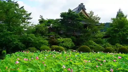 信濃國分寺の庭園