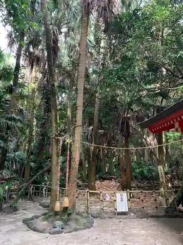 青島神社（青島神宮）の自然