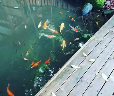 石浦神社(石川県)