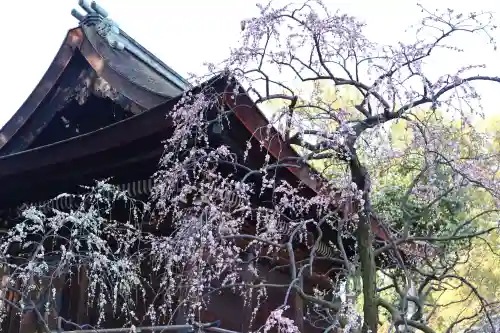 道明寺天満宮の{uncategorized: "未分類", other: "その他", undefined: "問題あり", building: "その他建物", grave: "お墓", sacred_gate: "鳥居", guardian: "狛犬", statue: "像", buddha: "仏像", history: "歴史", nature: "自然", garden: "庭園", animal: "動物", pagoda: "塔", temizu: "手水舎", mountain_gate: "山門・神門", sanctuary: "本殿・本堂", subordinate: "末社・摂社", art: "芸術", scenery: "景色", jizo: "地蔵", ema: "絵馬", goshuin: "御朱印", omikuji: "おみくじ", items: "授与品その他", amulet: "お守り", goshuincho: "御朱印帳", eats: "食事", festival: "お祭り", votive_dance: "神楽", shichigosan: "七五三参", wedding: "結婚式", experience: "体験その他", initially: "初詣", around: "周辺", anti_infection: "感染症対策"}