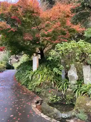海蔵寺(神奈川県)