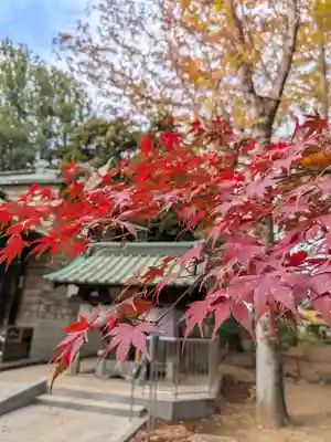 妙法寺(東京都)
