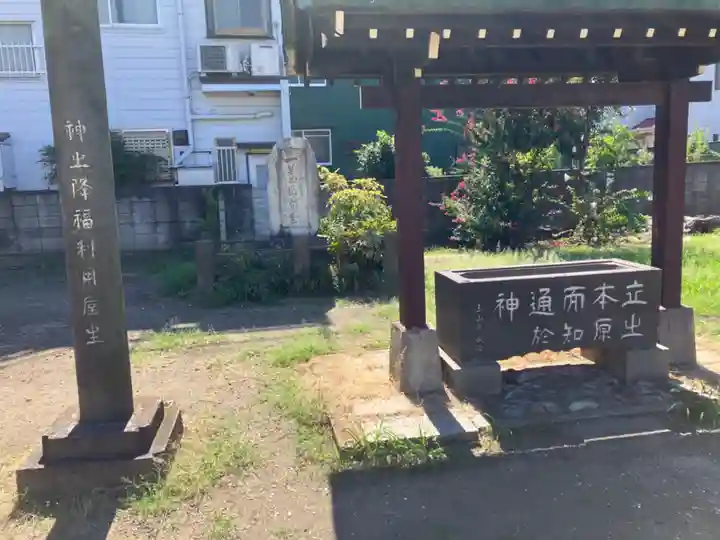 横浜熊野神社の手水舎