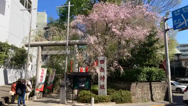 田無神社(東京都)