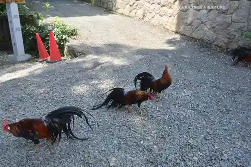 大甕神社(茨城県)