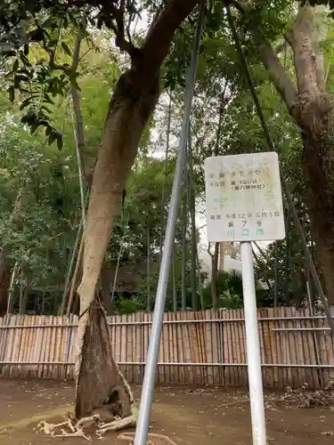 峯ヶ岡八幡神社(埼玉県)